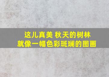 这儿真美 秋天的树林就像一幅色彩斑斓的图画